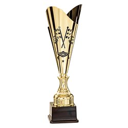 Coupe Laser Métal Automobile  : 35501