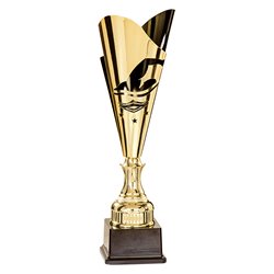 Coupe Laser Métal Natation  : 35511-1