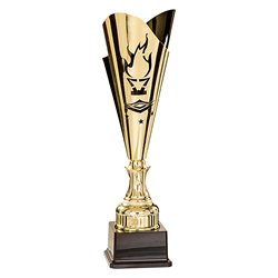 Coupe Laser Métal Flambeau  : 35514