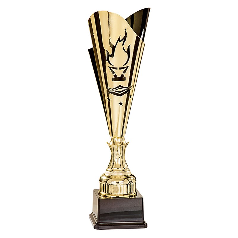 Coupe Laser Métal Flambeau  : 35514