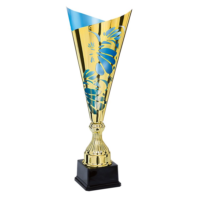 Coupe Laser Métal : 3881