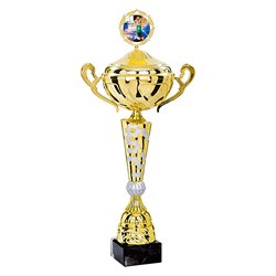 Coupe Personnalisée Métal : 4181W-C