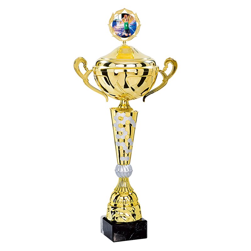 Coupe Personnalisée Métal : 4181W-C