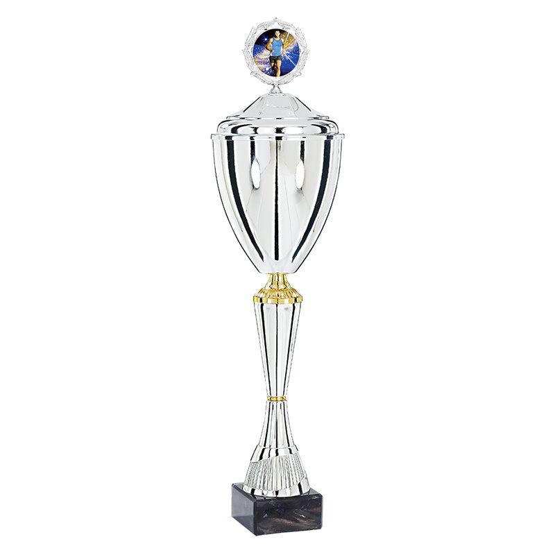 Coupe Personnalisée Métal : 4221W-C