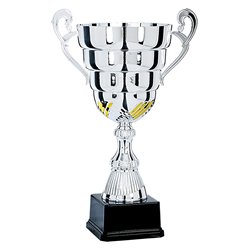 Coupe Classique Métal : 5021