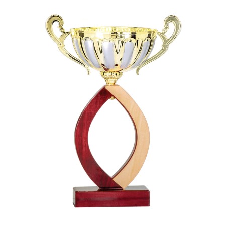 COUPE P.52 32CM 2026