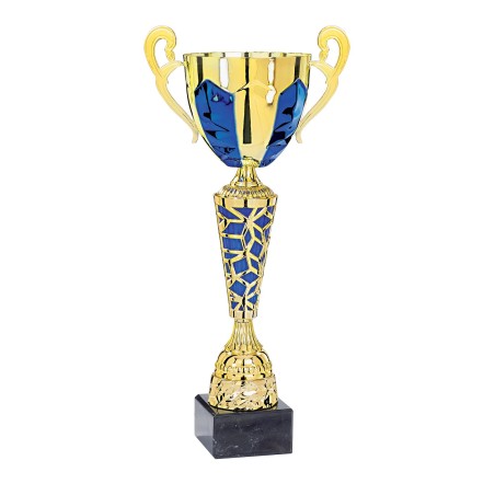 COUPE P.53 33CM 2026