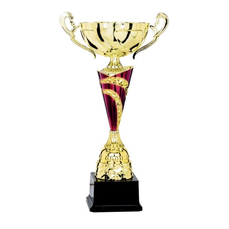 COUPE P.54 31CM 2026