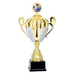 Coupe Personnalisée Métal : 5581W-C