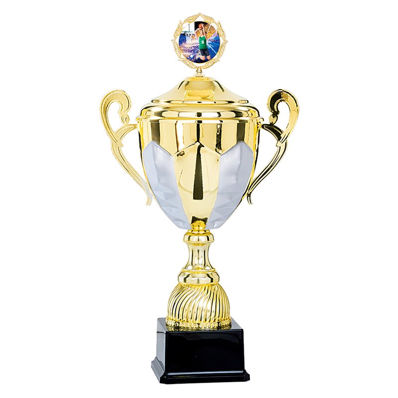 Coupe Personnalisée Métal : 5581W-C