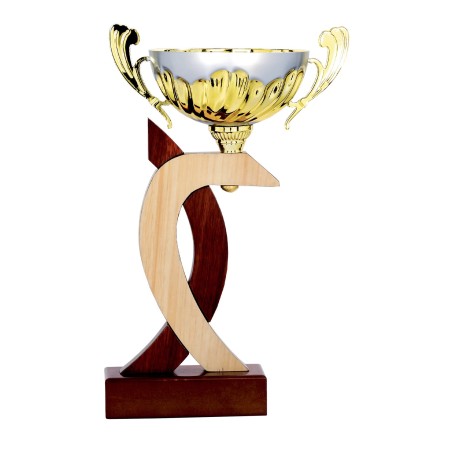 COUPE P.55 32CM 2026