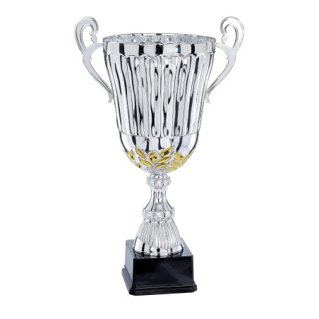 COUPE P.55 34CM 2026