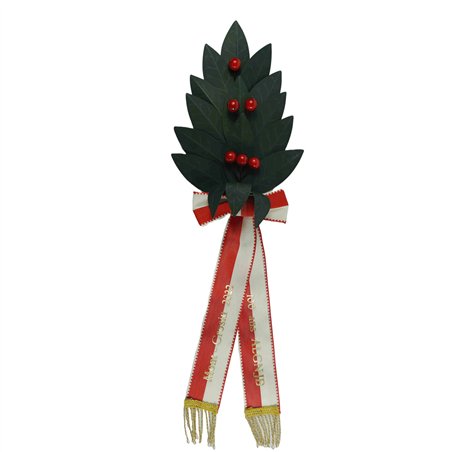 Palme 16 feuilles, en laurier, verte, 6 baies