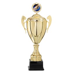 Coupe Personnalisée Métal : 5811W-D