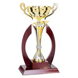 Coupe Prestige Bois et Métal : 5931