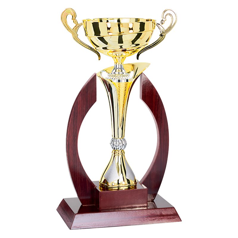 Coupe Prestige Bois et Métal : 5931