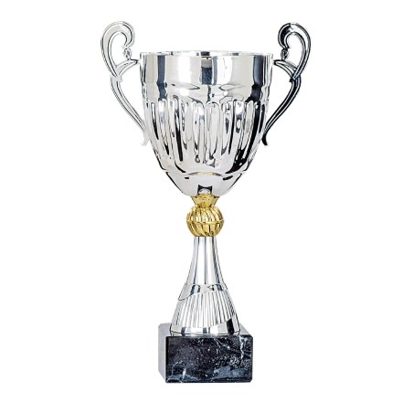 COUPE P.57 27CM 2026