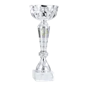 Coupe P.15 - 1511