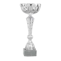 Coupe P.17 - 1721