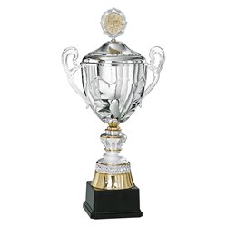 Coupe Personnalisée Métal : 6026W-C