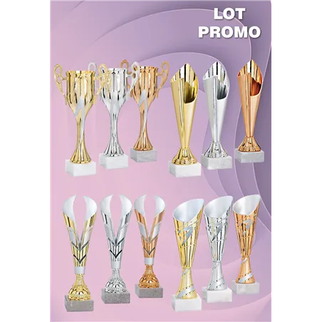 LOT de 12 Coupes Podium - 2026-2