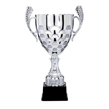 COUPE P.59 35CM 2026