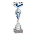 Coupe P.21 - 2171