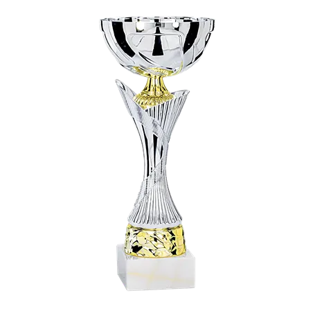 Coupe P.24 - 2451