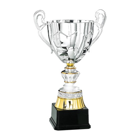 COUPE P.60 31CM 2026