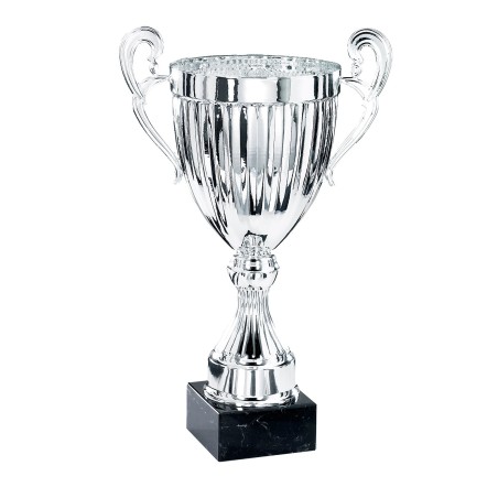 COUPE P.61 26CM 2026