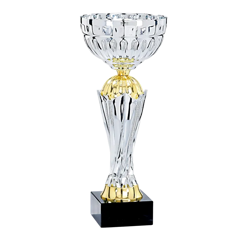 Coupe P.48 - 4851