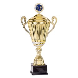 Coupe Personnalisée Métal : 6431W-C