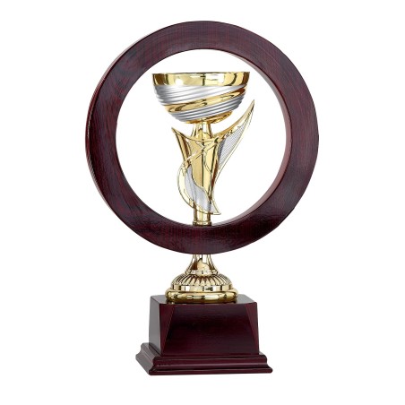 COUPE P.63 36CM 2026