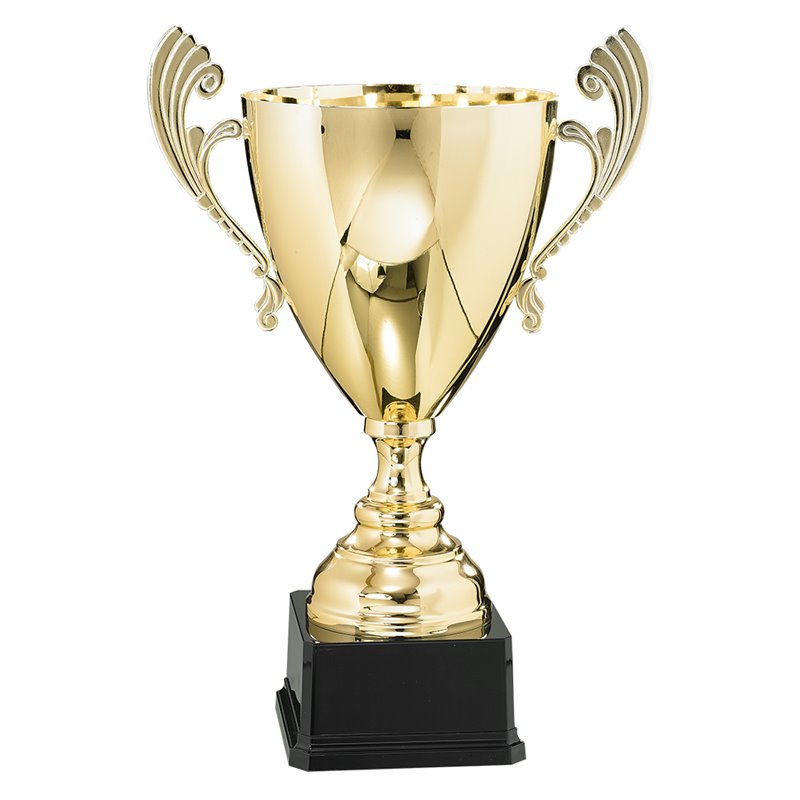 Coupe Prestige Métal : 6531