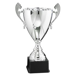 Coupe Prestige Métal : 6521