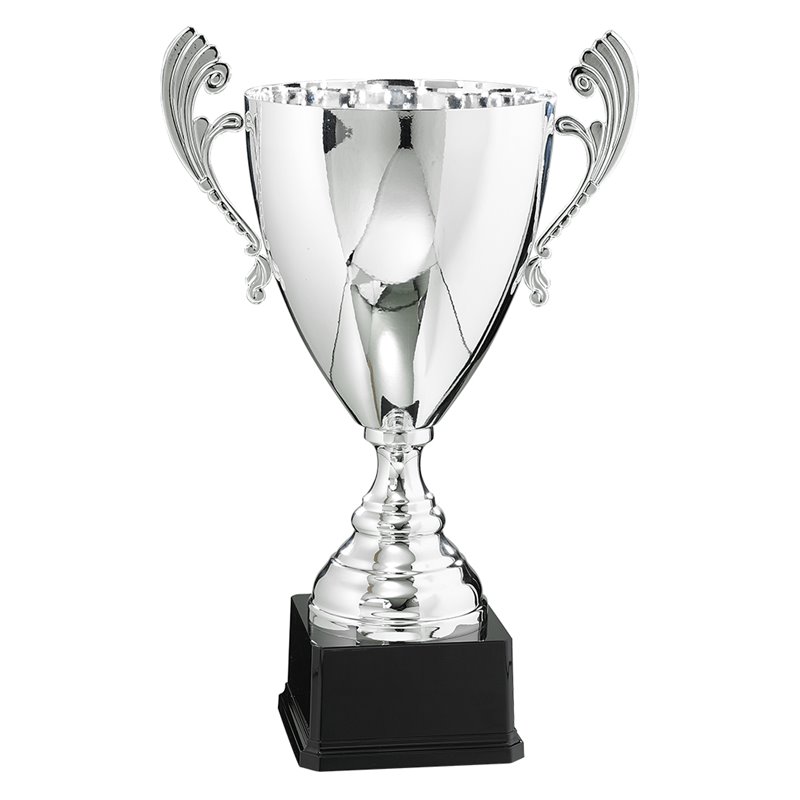 Coupe Prestige Métal : 6521