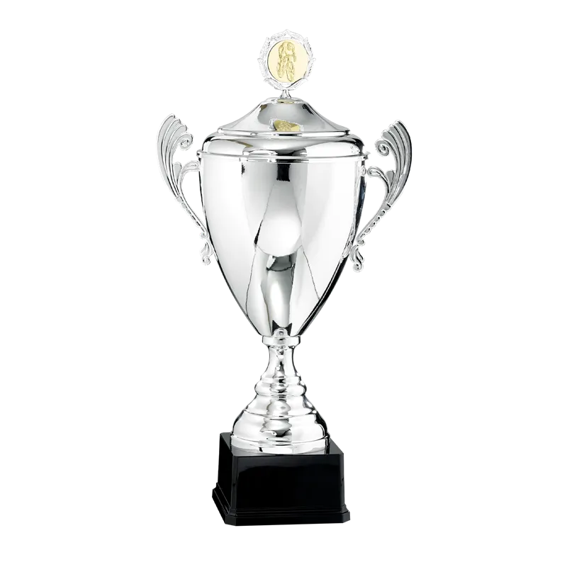Coupe P.65 - 6521