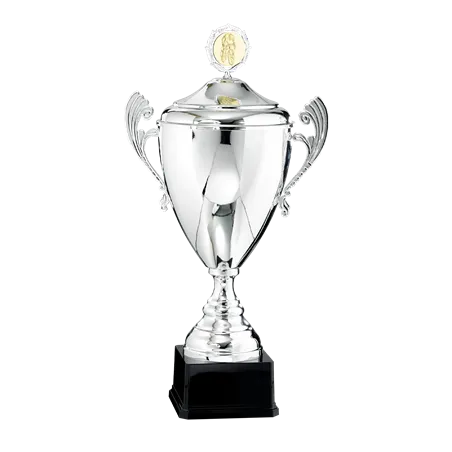 Coupe P.65 - 6521