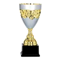 Coupe P.66 - 6681