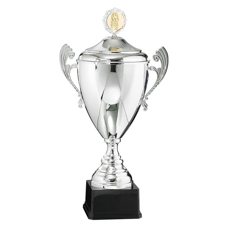 Coupe Personnalisée Métal : 6521W-C