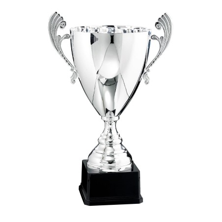 COUPE P.65 30CM 2026