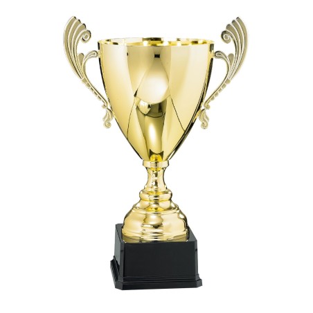 COUPE P.65 30CM 2026