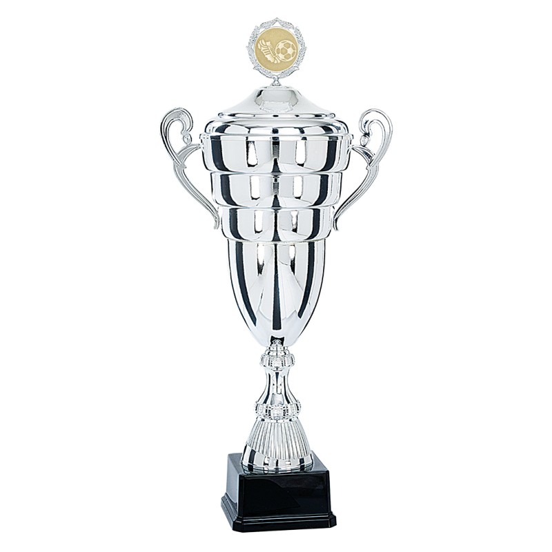 Coupe Personnalisée Métal : 6691W-C