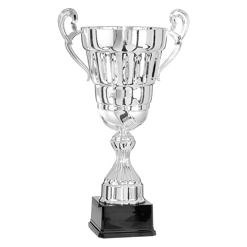 Coupe Prestige Métal : 6701