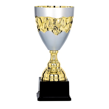 COUPE P.66 28CM 2026