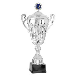 Coupe Personnalisée Métal : 6701W-C