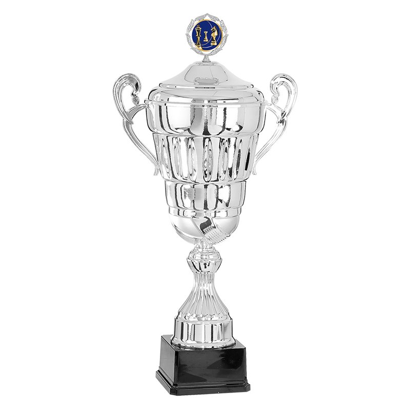 Coupe Personnalisée Métal : 6701W-C