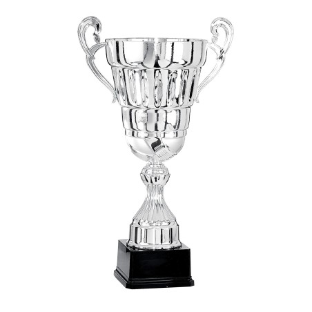 COUPE P.67 36CM 2026