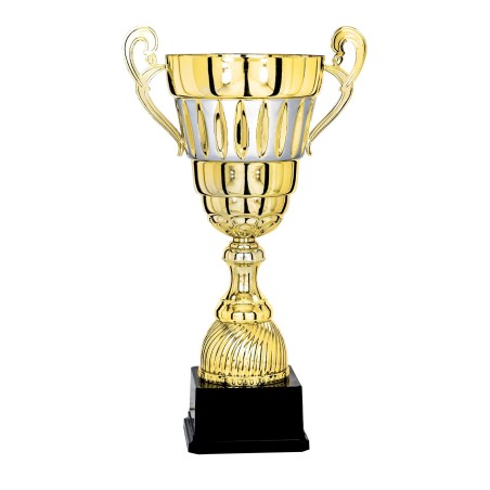 COUPE P.67 36CM 2026