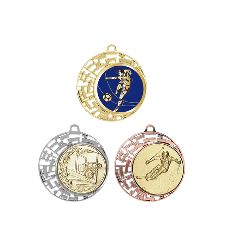 Médaille 70MM P.222 - 4
